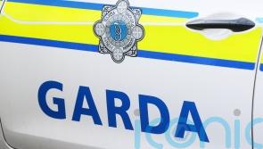 Cocaine and pills with estimated value of 290,000 euros seized in Dublin