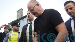 Picture Satchwell painted for years &lsquo;very different&rsquo; from evidence, court hears