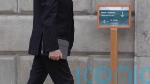 Fianna Fail needs new leader, TD McGuinness says