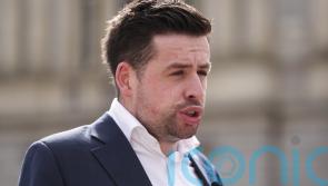 Garden cabin plans need to be rethought, says opposition TD