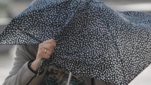 National: Met Éireann issues weather warnings for most of the country as Storm Agnes approaches
