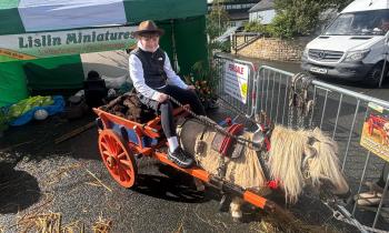 In pictures: Lislin Miniatures' fluffy animals at Glenties Harvest Fair