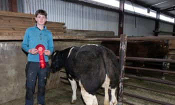 In pictures: Winning weanlings at Stranorlar Livestock Mart show and sale