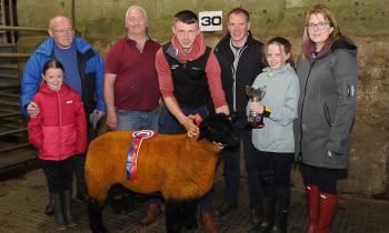In pictures: Prize-winning pedigrees at Suffolk Breeders Show and Sale in Raphoe