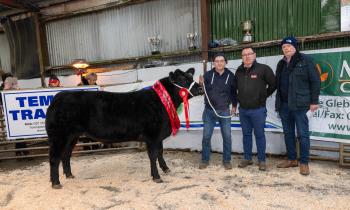 In pictures: Successful annual Raphoe Mart Fatstock Show and Sale
