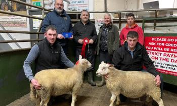 In pictures: Raphoe Livestock Mart Easter Lamb Show and Sale winners
