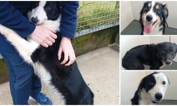 &lsquo;Maggie's first visitors fell in love and she has now found her new family&rsquo;