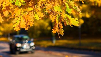 Things you should know when buying a new car
