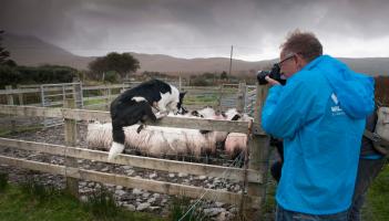 Leading German Brand Panasonic ‘Snap Up’ the Wild Atlantic Way