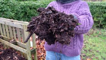 Life hacks to reduce nutrient and food waste this Christmas