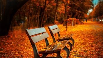 Why October can feel tough and how to protect your mental health this Autumn