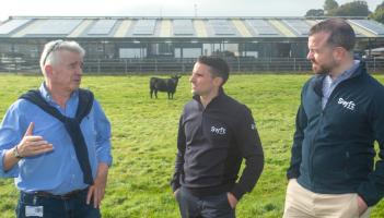 Ryanair boss goes green on his Midlands farm with major investment in solar panels
