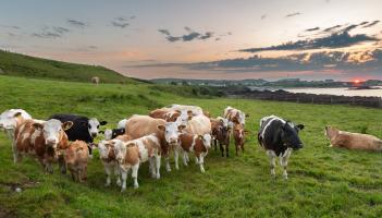 We are living through a Global Warning – and Donegal is not immune