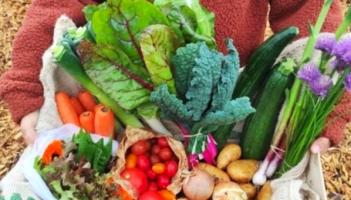 Shy By Nature is expanding the reach of its delicious organic veg boxes