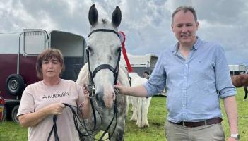 Champion horse reigns supreme at Inishowen Agricultural Show in Carndonagh