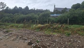 Calls for unregulated oyster fishermen to ‘clean up their act’ after dumping incident