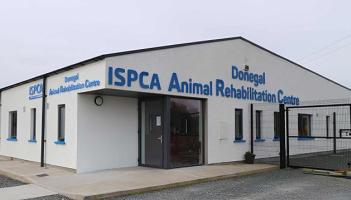 Closure of rehabilitation centre ‘a serious setback for animal welfare in Donegal’