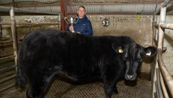 In pictures: Prize-winning weanlings at Raphoe Livestock Mart show and sale