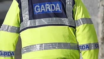 Gardai in criminal damage probe, after garden lights smashed by vandals