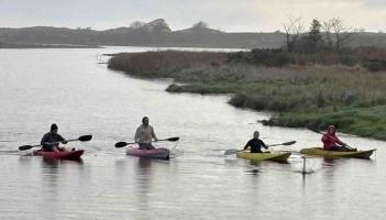 ‘Whooper’ rescue at Culdaff as kayakers rise with the lark to capture injured swan