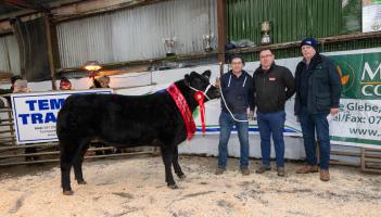 In pictures: Successful annual Raphoe Mart Fatstock Show and Sale