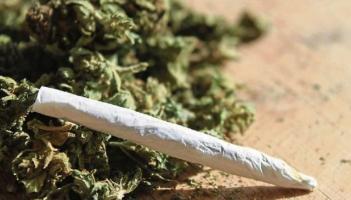 Letterkenny man caught with cannabis is fined in court
