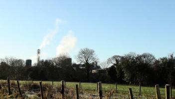 Prosecution possible after illegal felling of ancient Donegal woodland, Department says