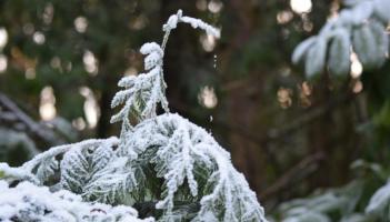 Rather windy in Donegal later, with falls of sleet and snow for a time