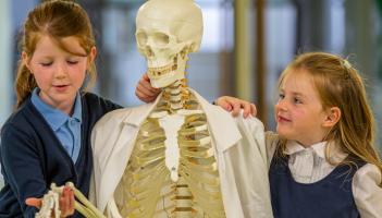 Lurgybrack&nbsp;National School, Letterkenny to represent Donegal at STEMtacular