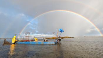 Listening to oysters &ndash; Meet the Donegal farmer innovating with acoustics