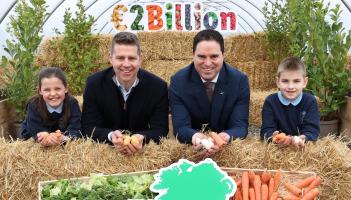 Lidl procured more than &euro;62m in goods and services from Donegal suppliers in 2025