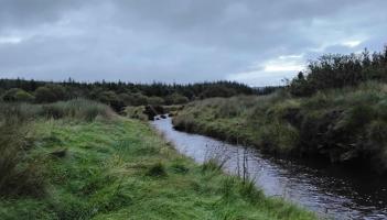 Community invited to take action at &lsquo;The Coast Starts At My Feet&rsquo; online event