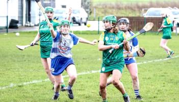 Greenan shines as Donegal Camogs lose out narrowly in Division 3B opener