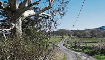 Donegal allocated &euro;1.23 million under Local Improvement Scheme