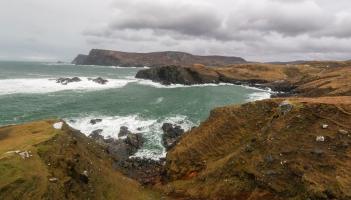 'The human species is a plague on the earth' - The not so Wild Atlantic Way
