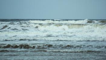 Man facing fine and costs over &euro;1,000 for illegal salmon net off Donegal coast