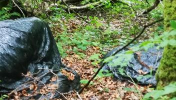 South Donegal fly tipping concerns highlighted in Council MD meeting