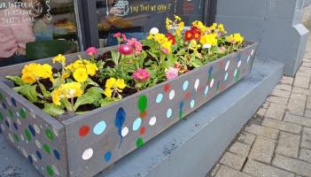 Cathedral Quarter column: St Patrick's Day marks the start of tourist season