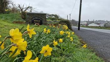 Carndonagh Daffodil Day blooms with &euro;5,820 raised for vital cancer charity