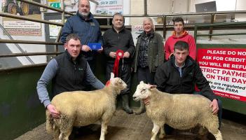 In pictures: Raphoe Livestock Mart Easter Lamb Show and Sale winners