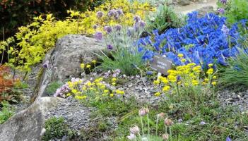 Expert advice on everything from alpines to polytunnels at Swilly Gardening Club