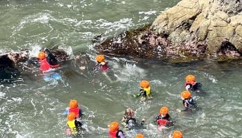 Donegal organisations shortlisted for RDS Foundation Awards