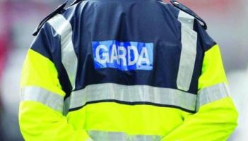 Bucket of digger stolen from forest in south Donegal