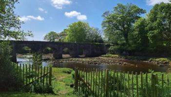 Dawn Chorus event to welcome early risers in Buncrana