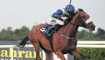 Bellewstown 11/4 winner for Ballyare jockey Patrick McGettigan on Sunday