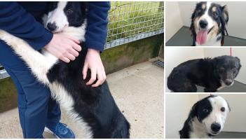 &lsquo;Maggie's first visitors fell in love and she has now found her new family&rsquo;