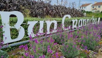 Buncrana included in Night-Time Economy Late-Night Pilot Bus Service