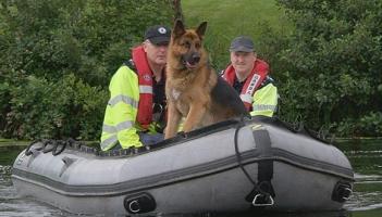 New request to be made for establishment of Garda dog unit in Donegal