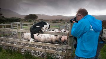 Leading German Brand Panasonic &lsquo;Snap Up&rsquo; the Wild Atlantic Way