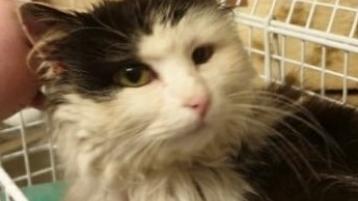 A close shave for Jon Snow!